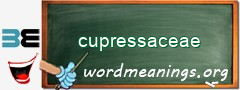 WordMeaning blackboard for cupressaceae